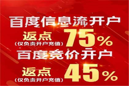 百度竞价代运营实战：某电商平台的销量翻倍秘诀